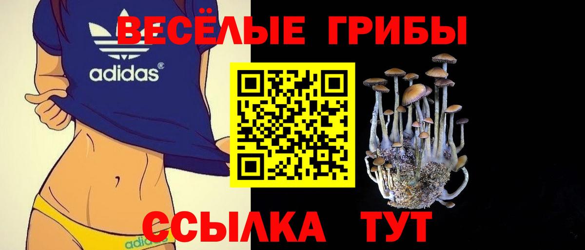 Псилоцибиновые грибы прущие грибы Добрянка