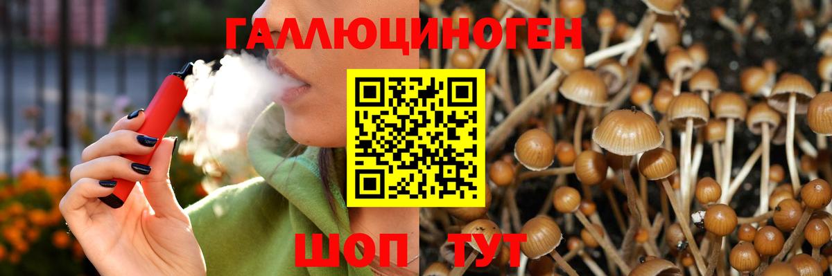 Добрянка  Галлюциногенные грибы GOLDEN TEACHER  Вход с VPN 